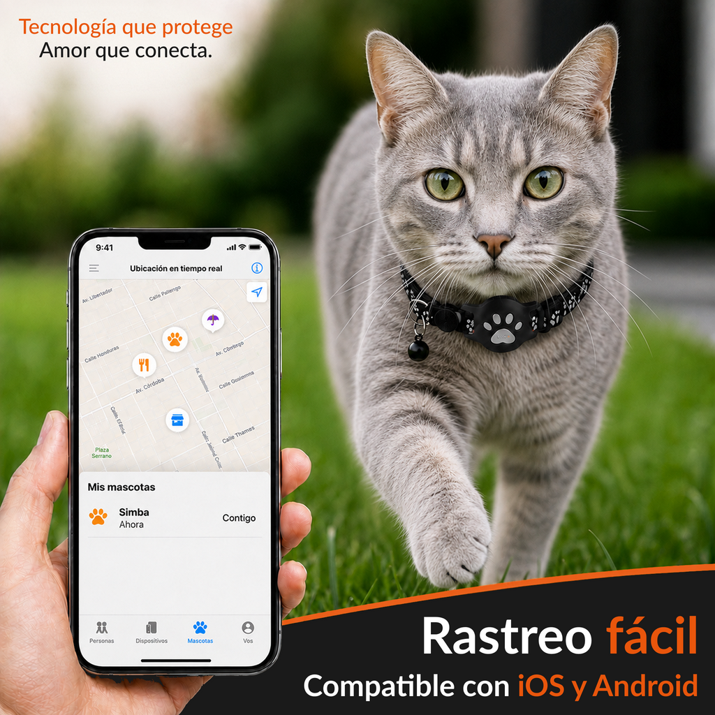 Gato caminando en el pasto con el localizador GPS UNO+ en el collar y un celular mostrando su ubicación en tiempo real