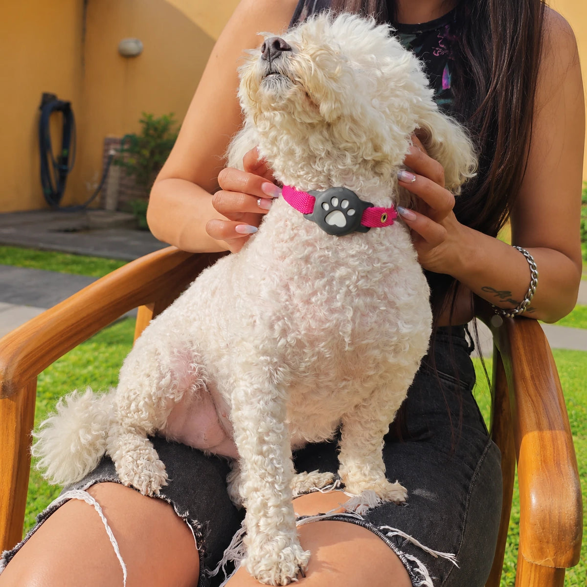 Localizador GPS con funda y collar