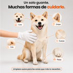 Perro siendo limpiado con el guante UNO+, que sirve para cara, orejas, cuerpo, cola y patas
